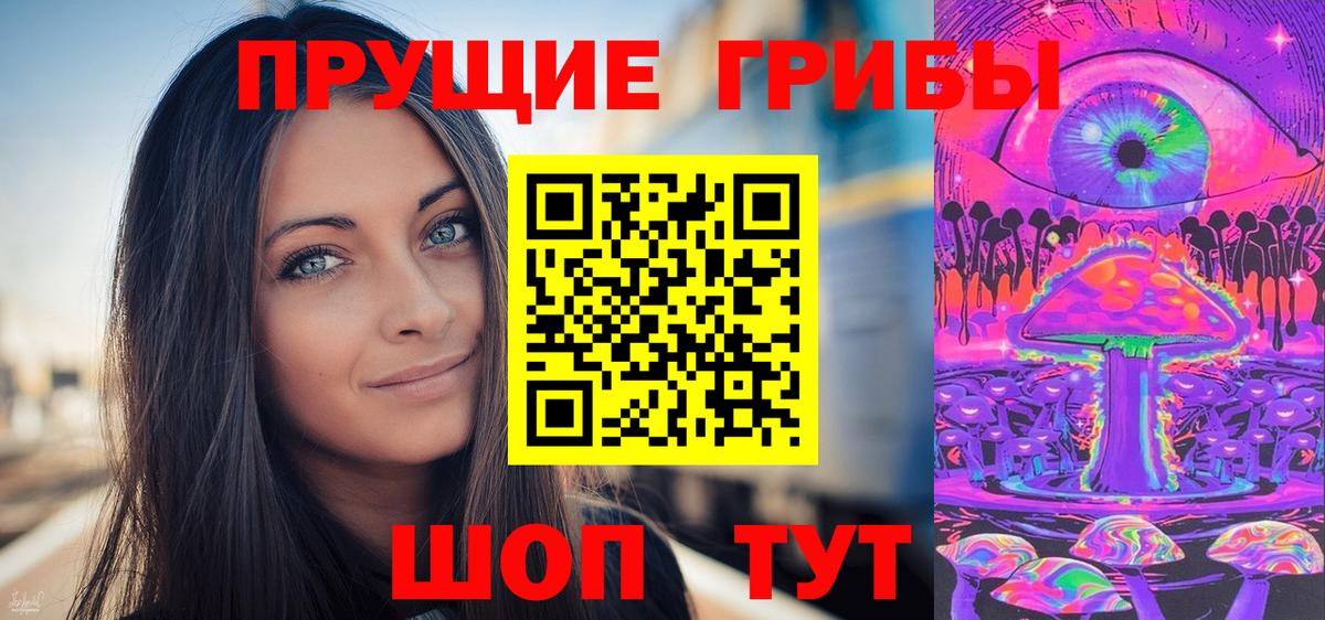 Галлюциногенные грибы Psilocybine cubensis Кольчугино