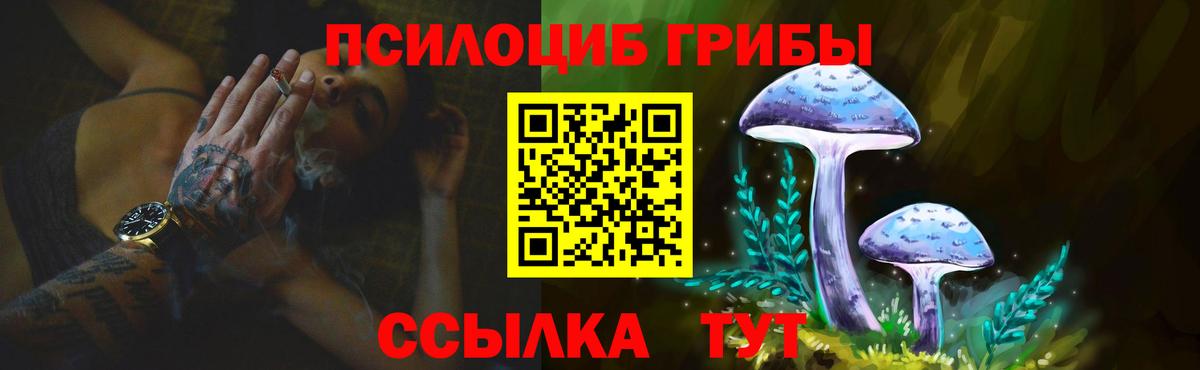 даркнет сайт  Галлюциногенные грибы Psilocybine cubensis  Вход с VPN  Кольчугино 